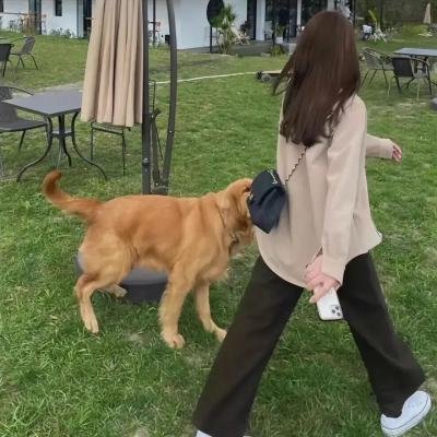 私密背叛